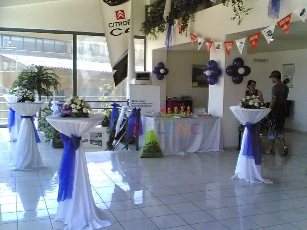 WhatsApp Image 2026 02 17 at 10.28.36 3