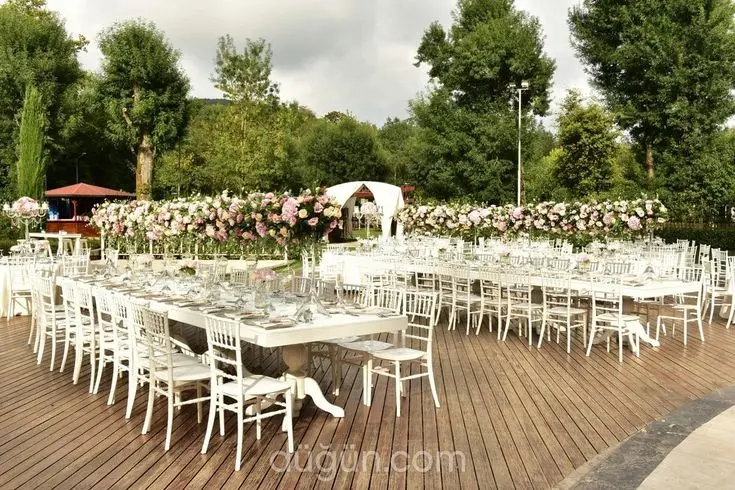 WhatsApp Image 2026 02 17 at 13.03.27